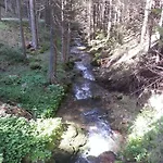 малина Pamporovo