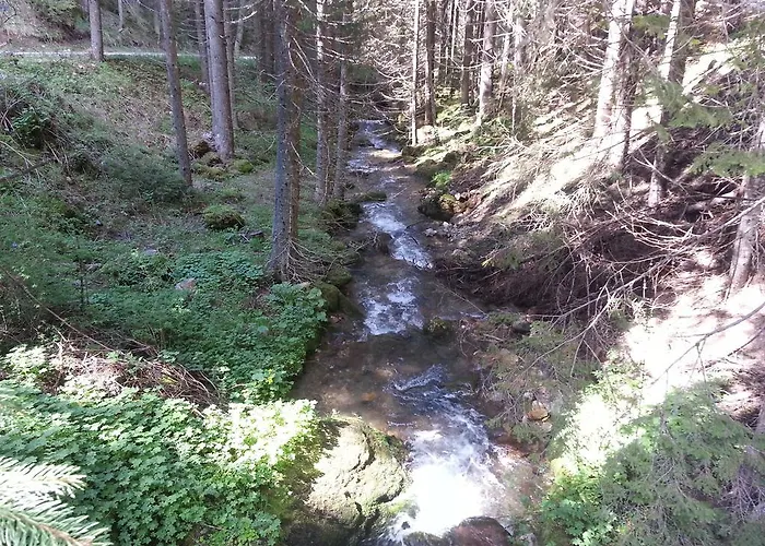 малина Pamporovo